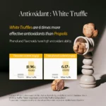 D´ALBA White Truffle First Spray Serum 50ml - Image 3